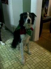 Instant Replay — alumni (archive)