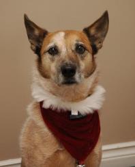 Instant Replay — alumni (archive)