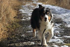 Instant Replay — alumni (archive)