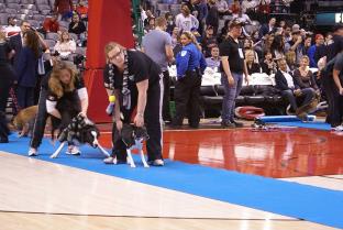 Instant Replay — random pictures (archive)