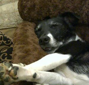 Instant Replay — random pictures (archive)