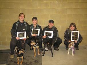 Instant Replay — random pictures (archive)