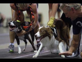 Instant Replay — random pictures (archive)