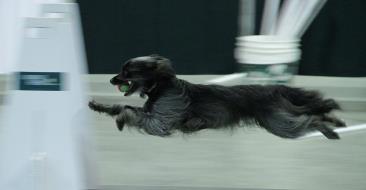 Instant Replay — random pictures (archive)