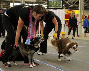 Instant Replay — random pictures (archive)