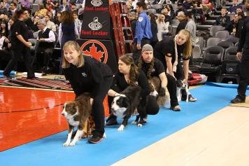 Instant Replay — Raptors demo (archive)