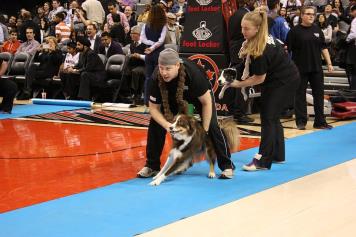 Instant Replay — Raptors demo (archive)