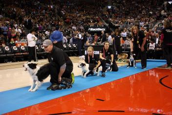 Instant Replay — Raptors demo (archive)