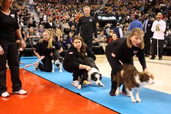 Instant Replay — Raptors demo (archive)