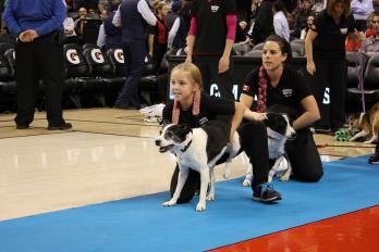 Instant Replay — Raptors demo (archive)