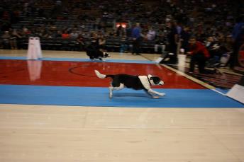 Instant Replay — Raptors demo (archive)