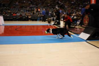 Instant Replay — Raptors demo (archive)